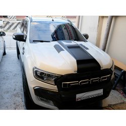 FORD RANGER MOTORHAUBENHUTZE